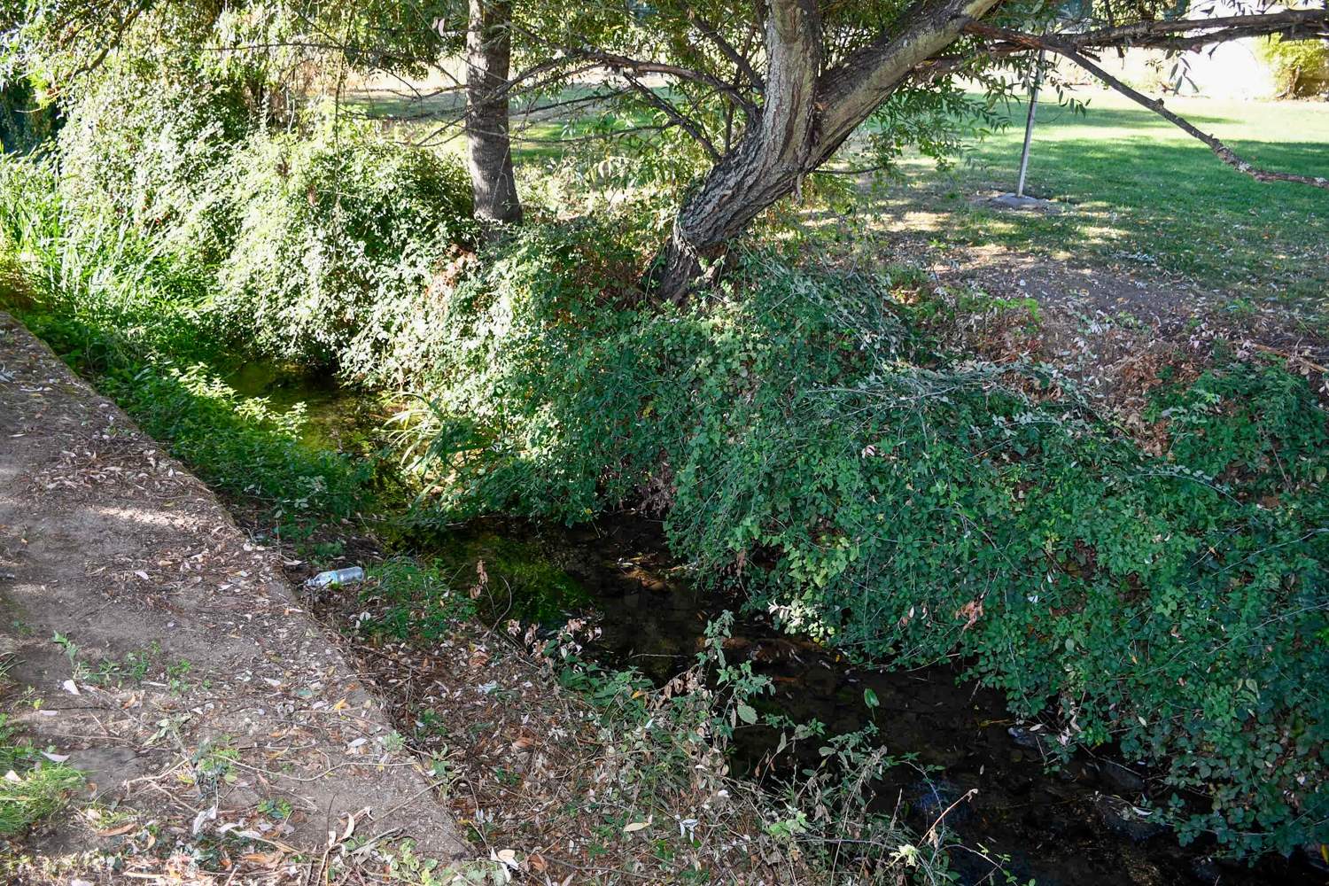 Confederación en Cacabelos (1)