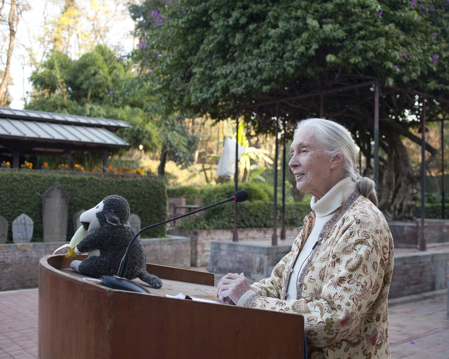 Jane Goodall. Foto iStock | Crédito ShikharBhattarai