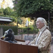 Jane Goodall. Foto iStock | Crédito ShikharBhattarai