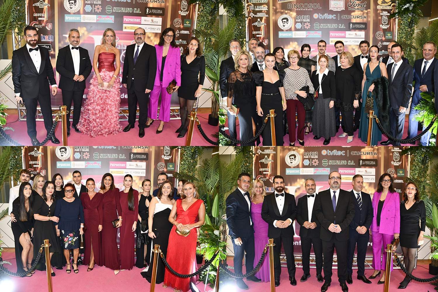 Álbum de FOTOS de la Alfombra 'Rosa' de la II Gala del Comercio El Bierzo