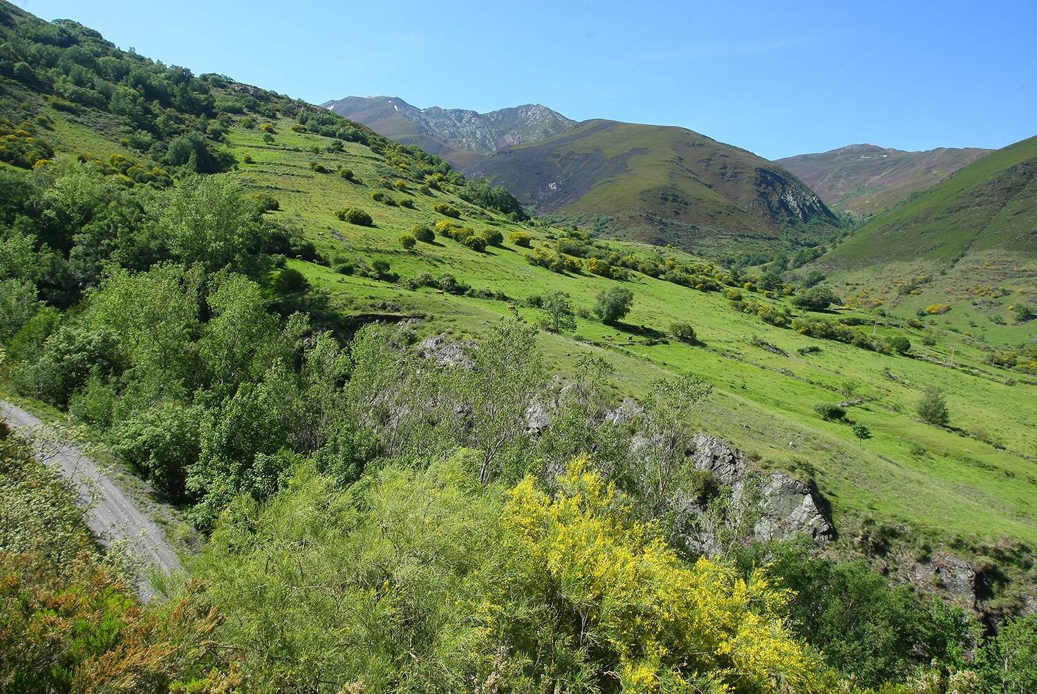 Valle de Fornela | Foto: César Sánchez, ICAL