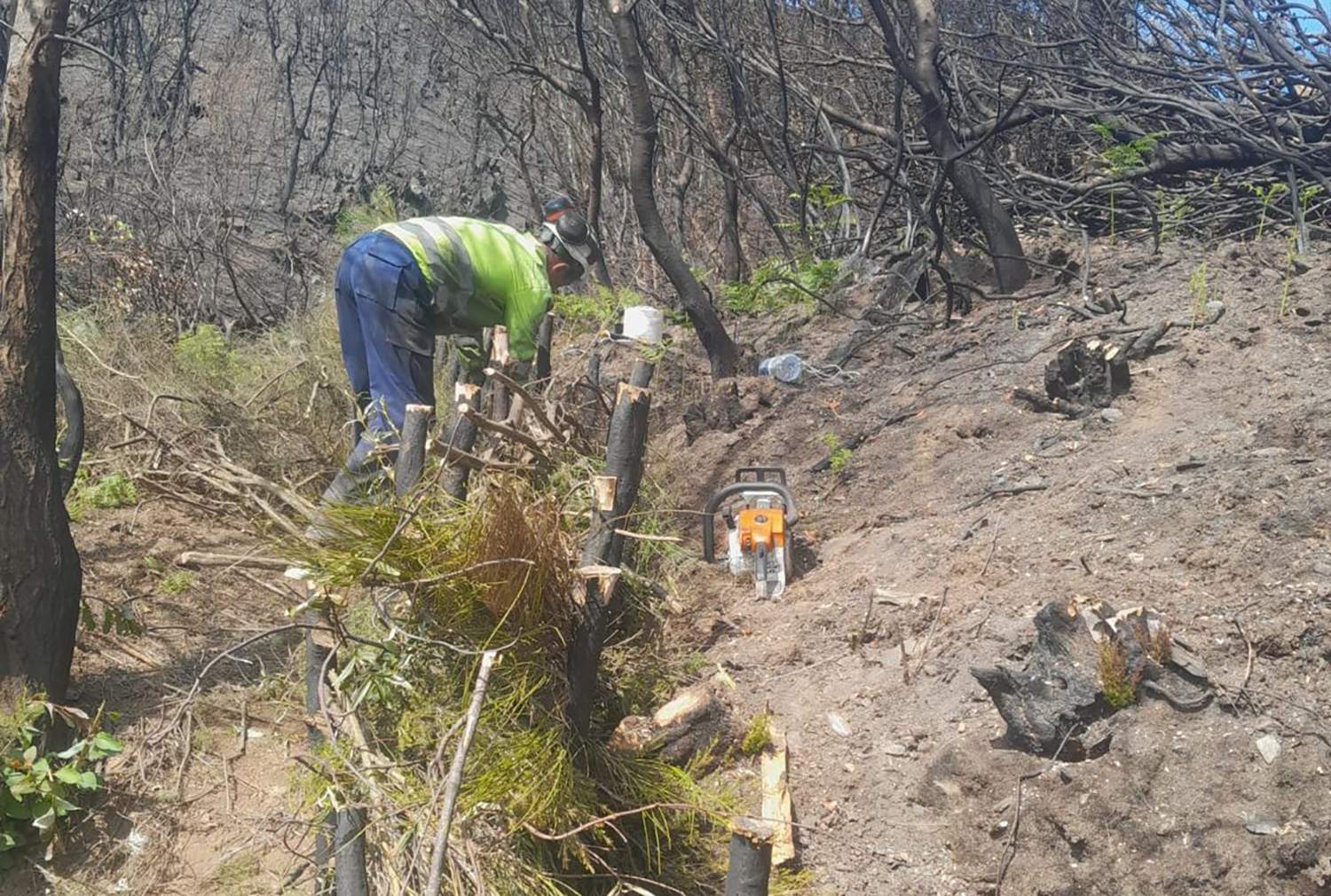 Comienzan los trabajados de emergencias tras los incendios de Yeres y Llamas de Cabrera