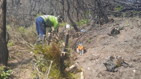 Comienzan los trabajados de emergencias tras los incendios de Yeres y Llamas de Cabrera | Foto: Naturaleza Castilla y León
