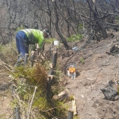 Comienzan los trabajados de emergencias tras los incendios de Yeres y Llamas de Cabrera | Foto: Naturaleza Castilla y León Comienzan los trabajados de emergencias tras los incendios de Yeres y Llamas de Cabrera | Foto: Naturaleza Castilla y León