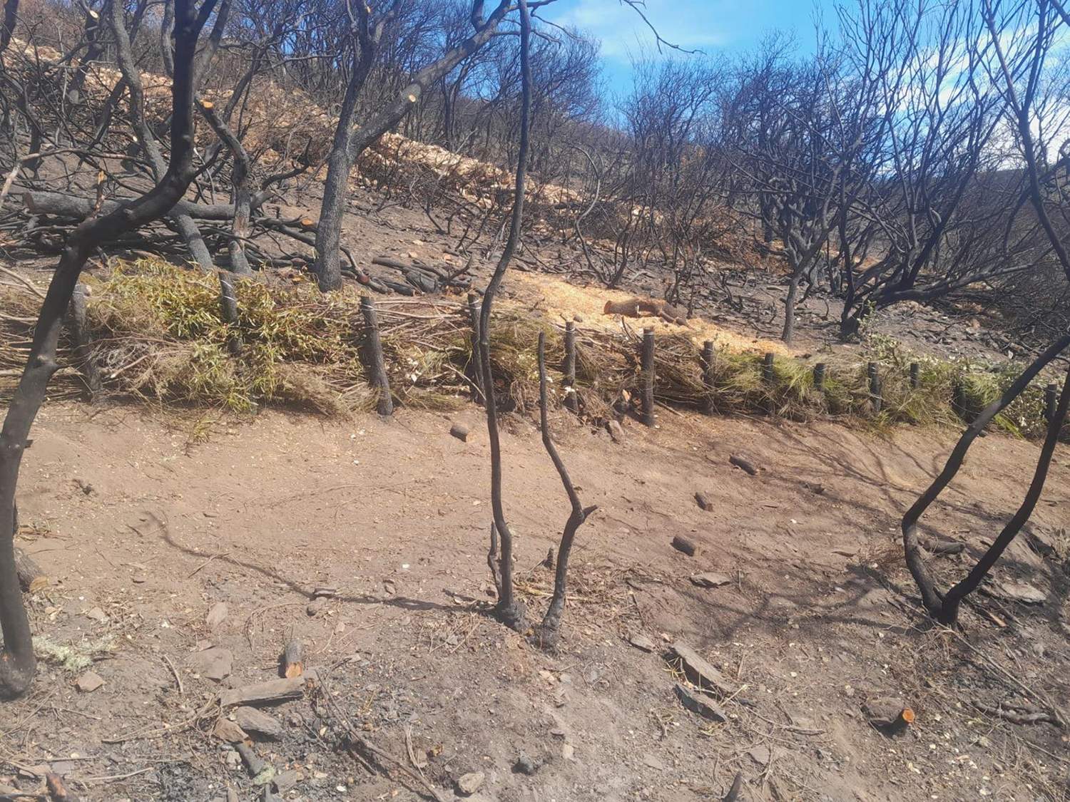 Trabajos de emergencia incendio Yeres