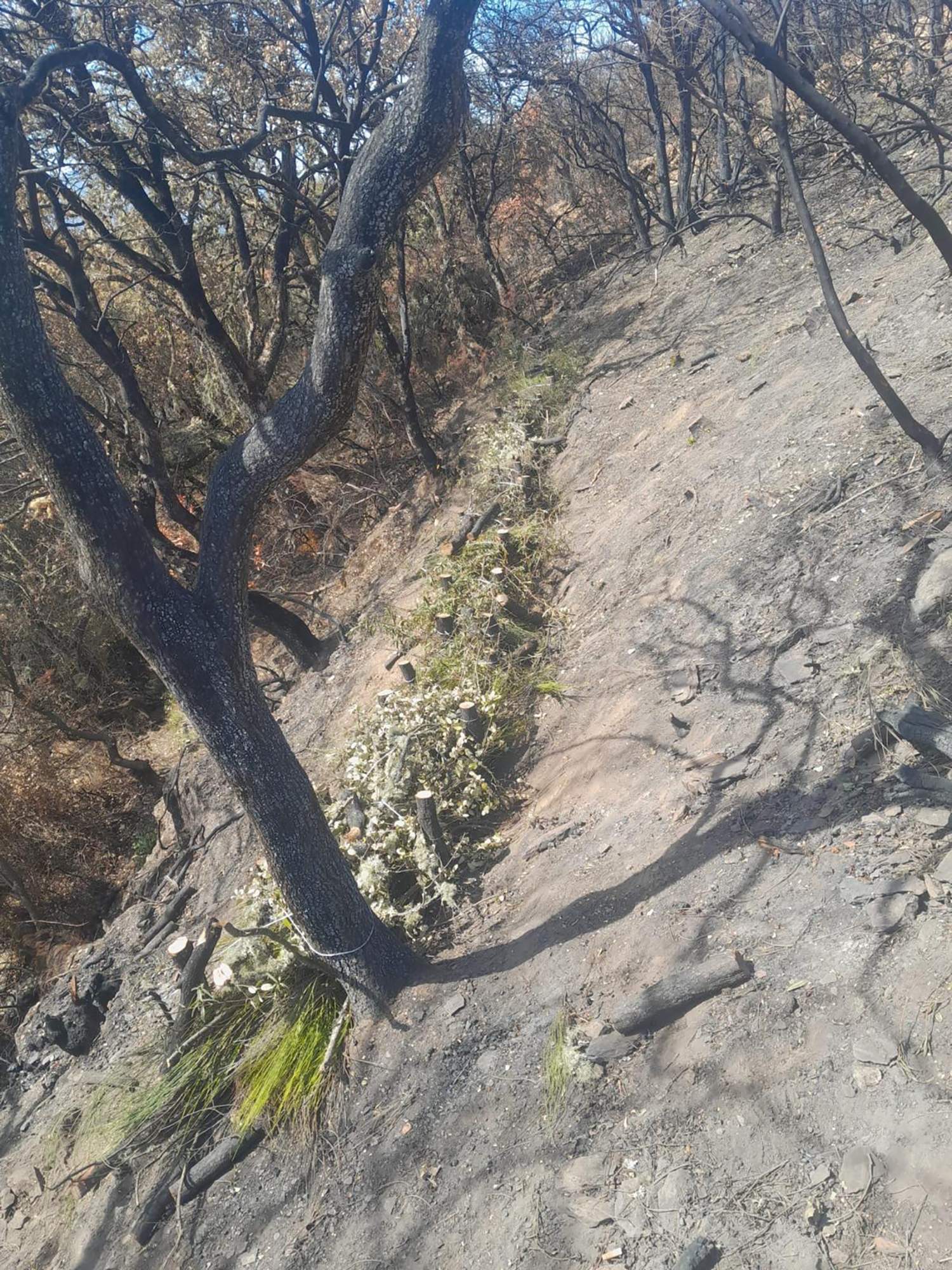 Trabajos de emergencia incendio Yeres 2