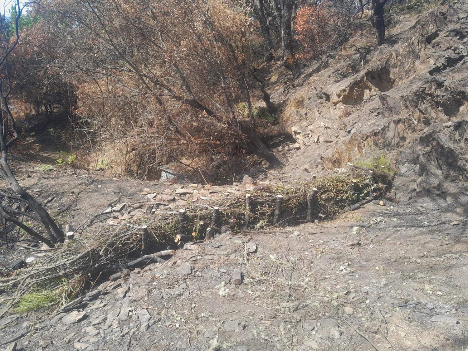 Trabajos de emergencia incendio Yeres 4