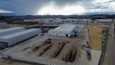 Polígono El Bayo. Forestalia