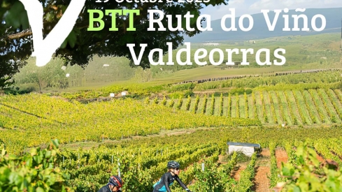 La BTT Ruta do Viño de Valdeorras celebra su con recorridos entre viñedos y bodegas