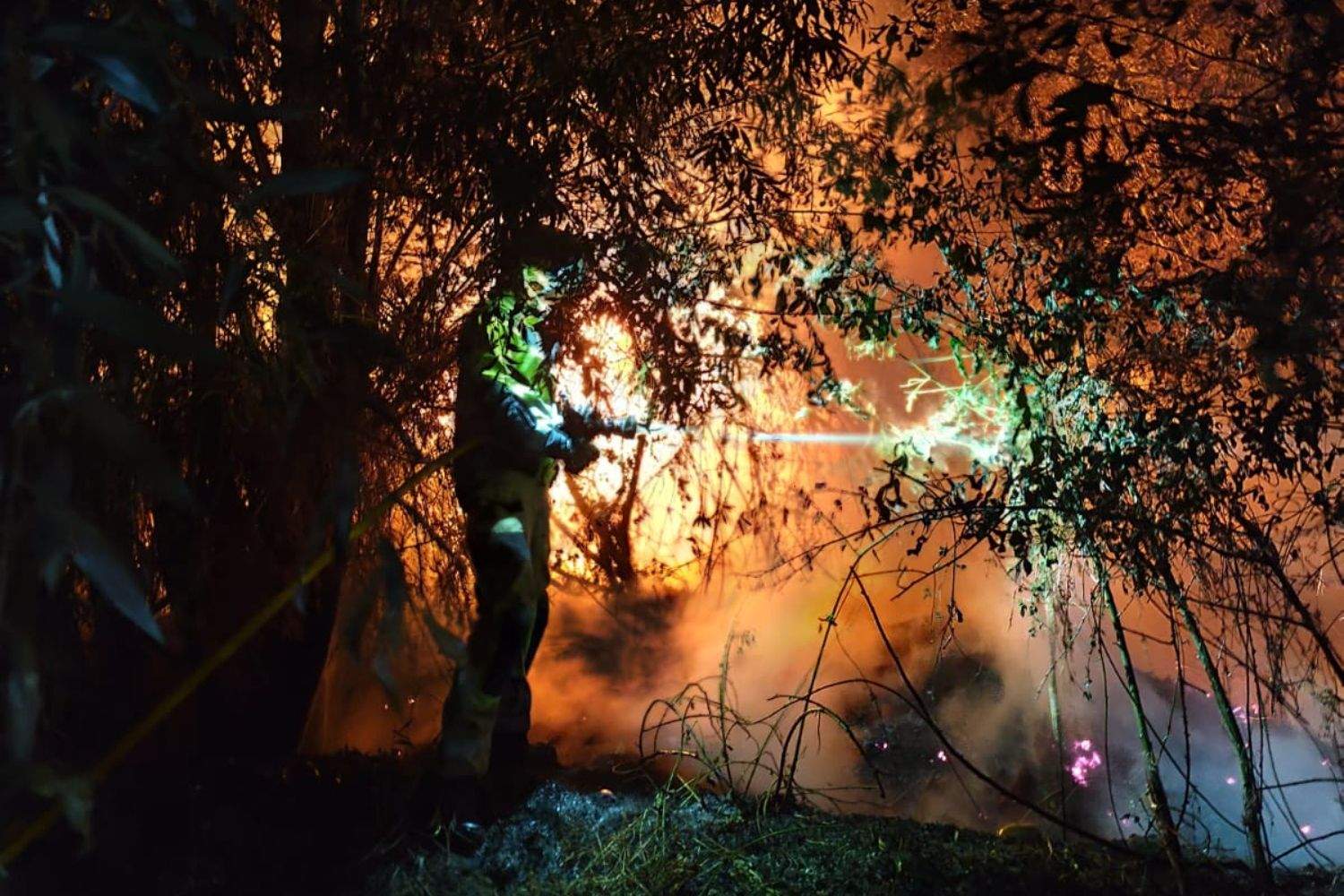 Los Bomberos de la Diputación sofocan dos incendios durante la noche | Diputación de León