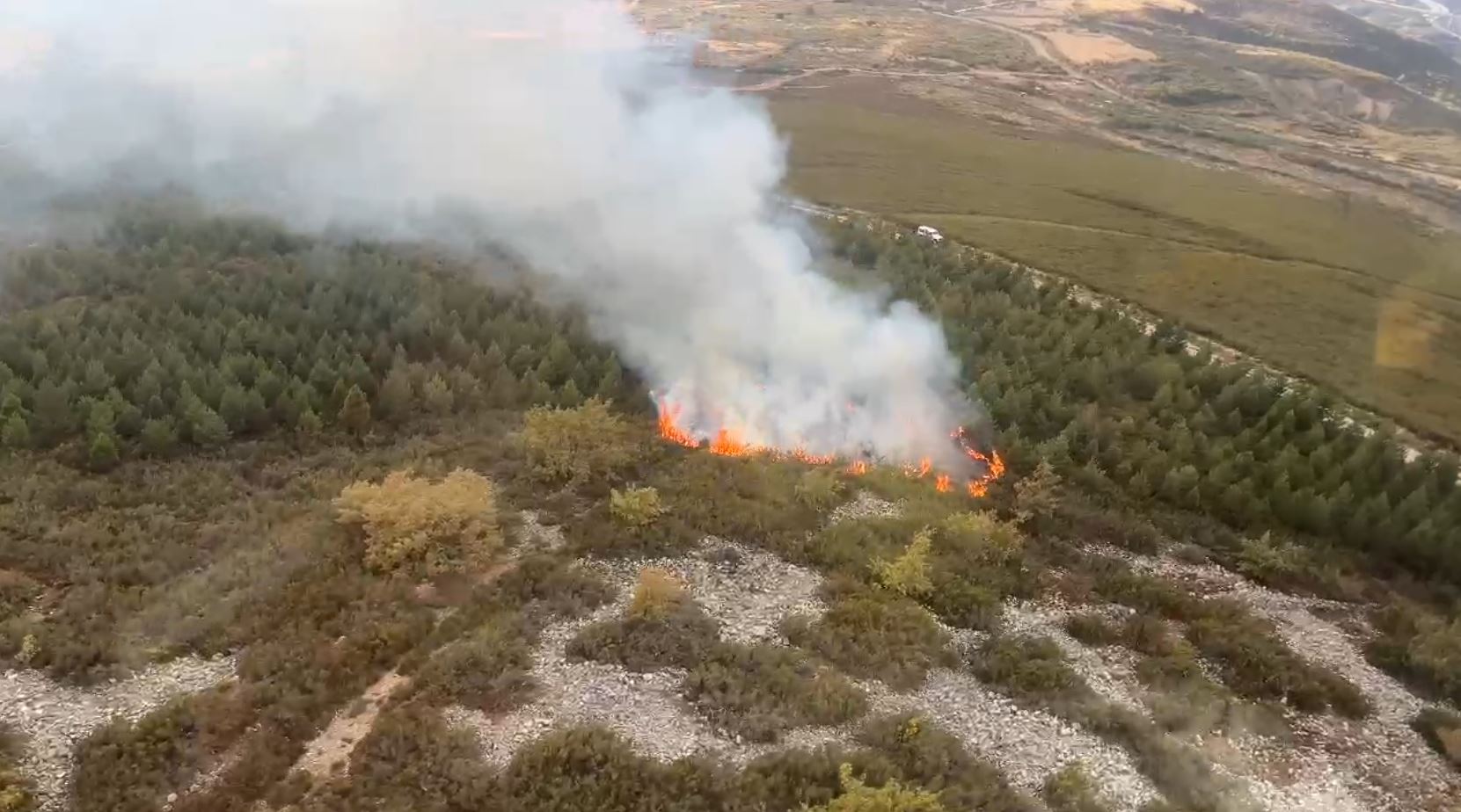 Incendio en el Manzanal 1