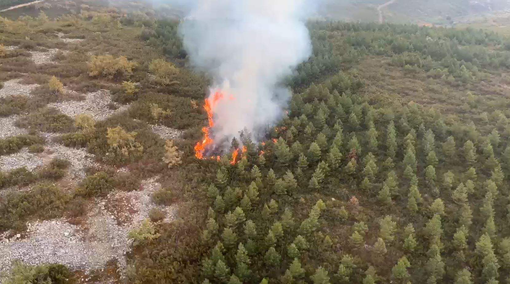 Declarado un incendio en Manzanal del Puerto en las inmediaciones de la A6