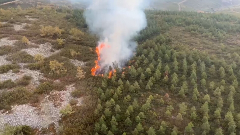Declarado un incendio en Manzanal del Puerto en las inmediaciones de la A6