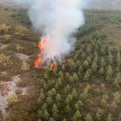 Declarado un incendio en Manzanal del Puerto en las inmediaciones de la A6 Declarado un incendio en Manzanal del Puerto en las inmediaciones de la A6
