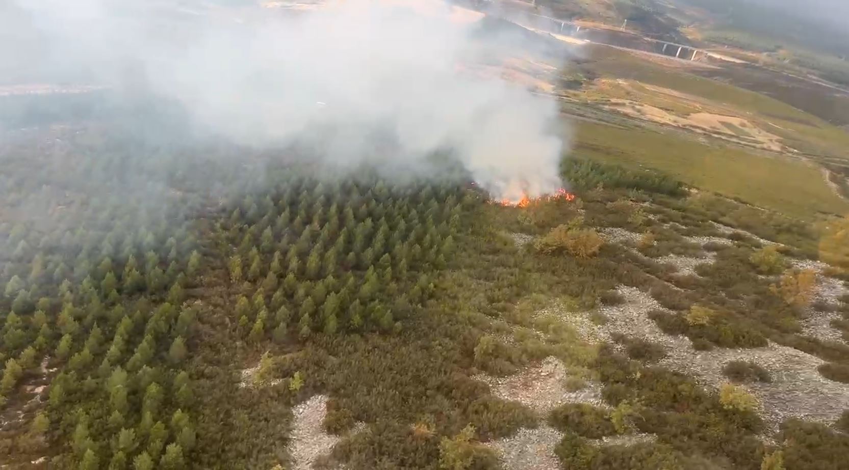 Incendio en el Manzanal