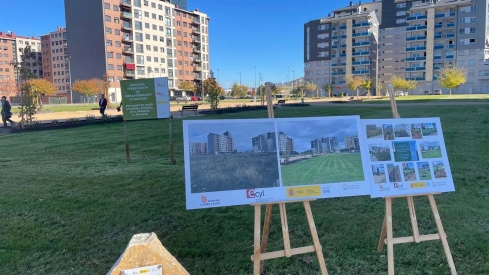 Nueva zona verde en La Rosaleda | La Rosaleda estrena 6.500 metros de zona verde gracias a un programa mixto de empleo y formación