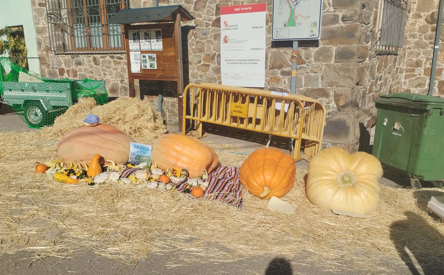 Igüeña celebra la Feria de la Calabaza (