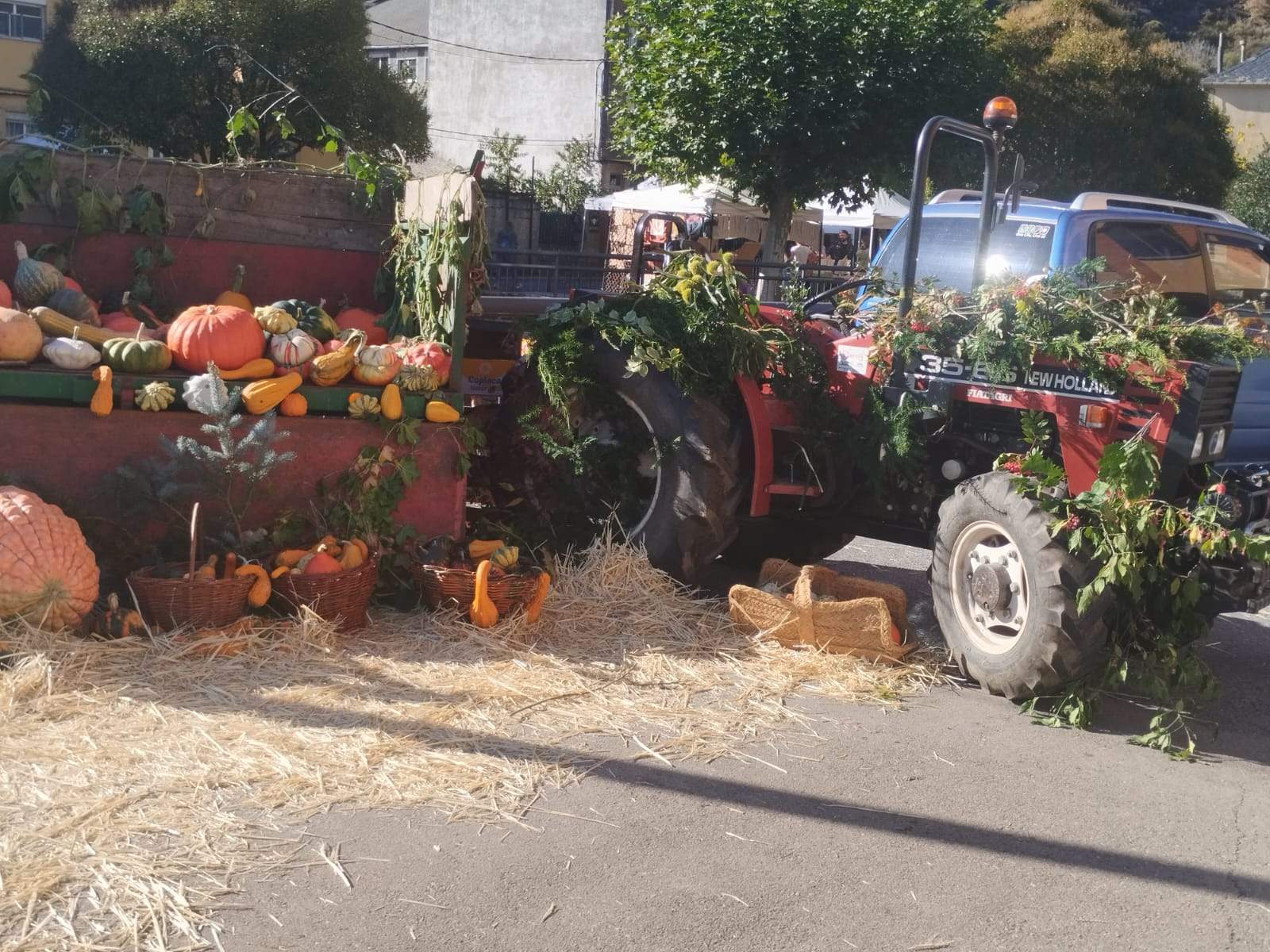 Igüeña celebra la Feria de la Calabaza (1)