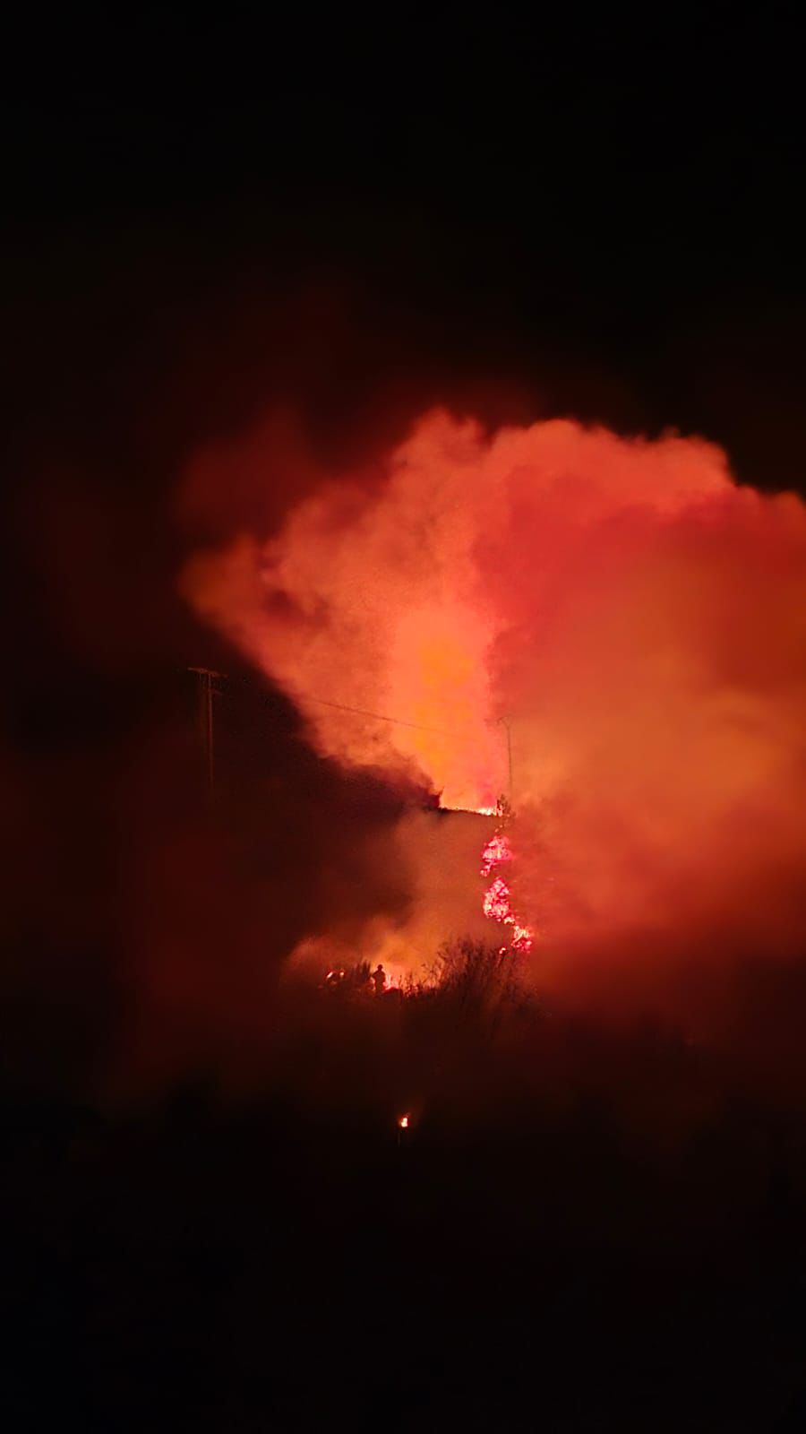 WhatsApp Image 2025 10 13 at 10.04.00