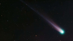 Cometa C/2025 A6 Lemmon desde Ponferrada. Foto Fran Cerdán Asociación Astronómica Bierzo. Cometa C/2025 A6 Lemmon desde Ponferrada. Foto Fran Cerdán Asociación Astronómica Bierzo.