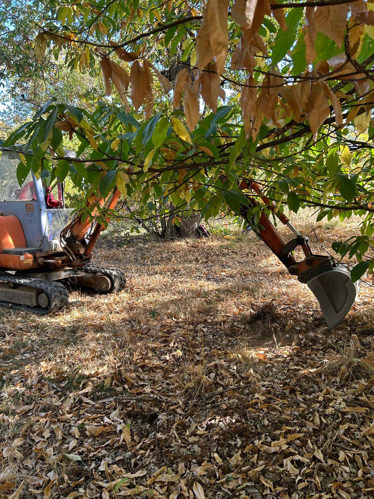 Trabajos de búsqueda en Páramo del Sil