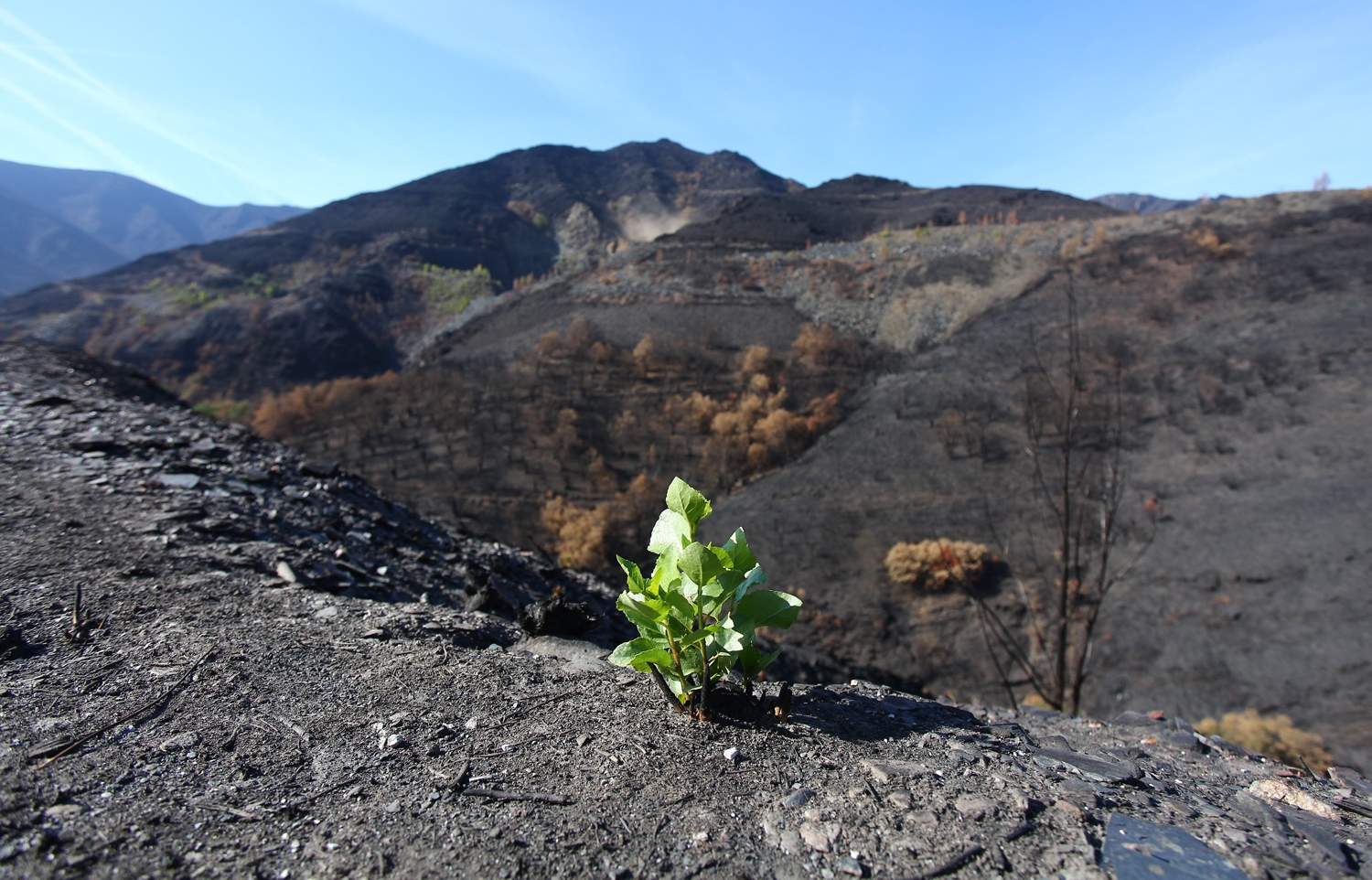 César Sánchez / ICAL . La directora general de Vivienda, Arquitectura, Ordenación del Territorio y Urbanismo, María Pardo, durante su visita las actuaciones de reconstrucción en Lusio (Oencia)