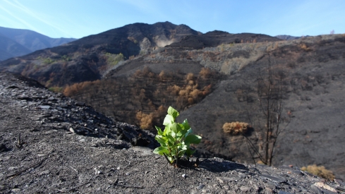 César Sánchez / ICAL . La directora general de Vivienda, Arquitectura, Ordenación del Territorio y Urbanismo, María Pardo, durante su visita las actuaciones de reconstrucción en Lusio (Oencia)