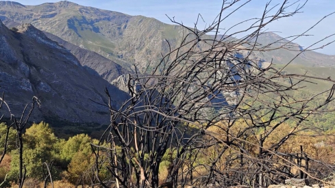 Reto Everesting en El Bierzo (13)
