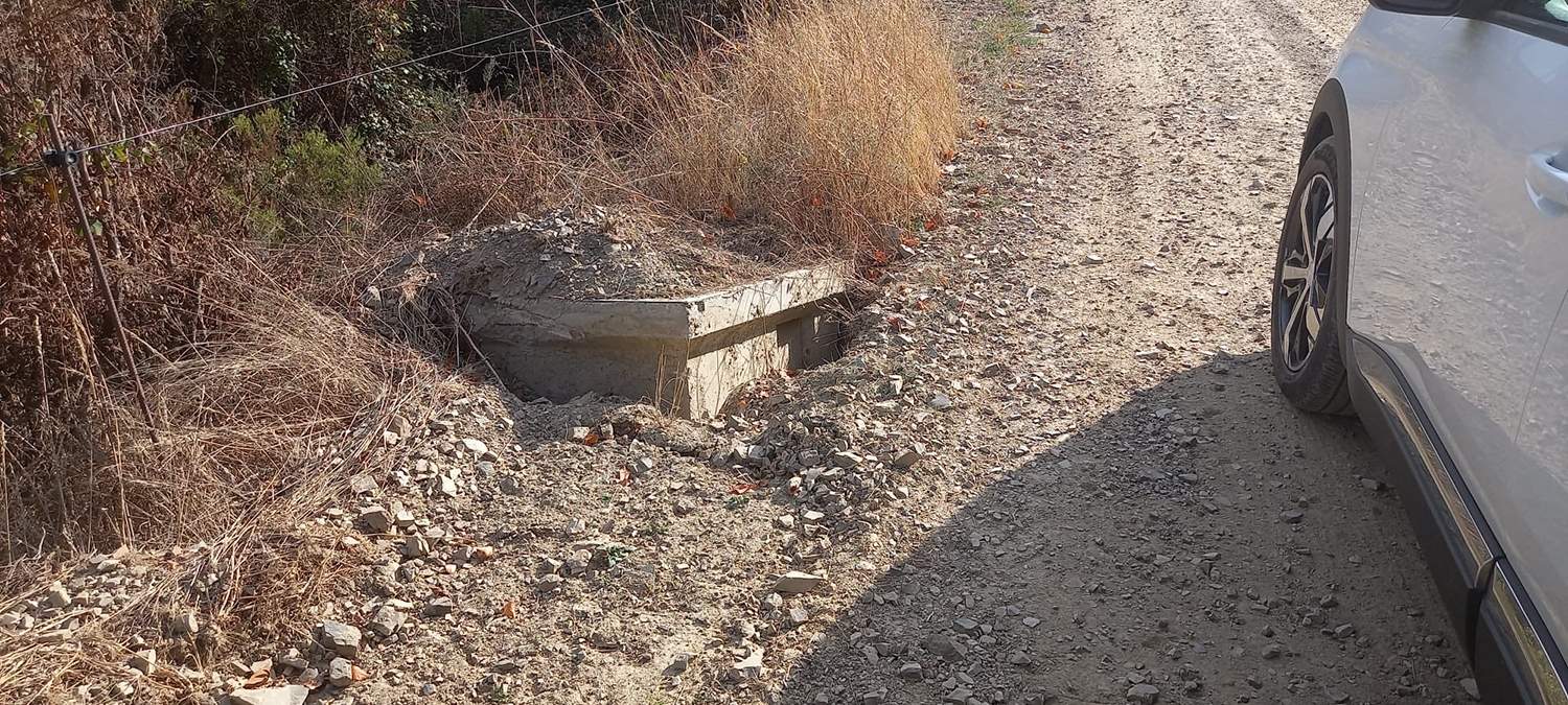 Camino entre Espinoso y Compludo 3