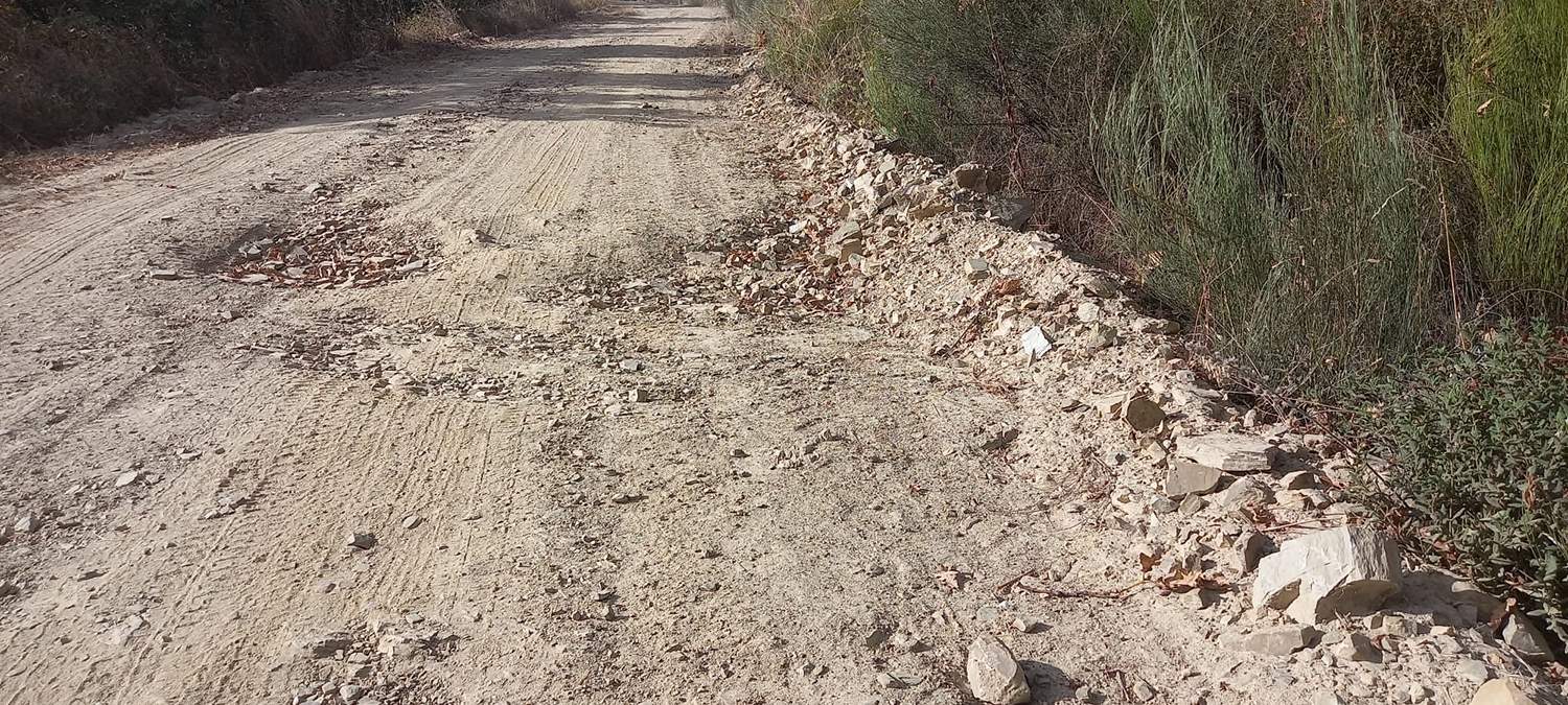 Camino entre Espinoso y Compludo