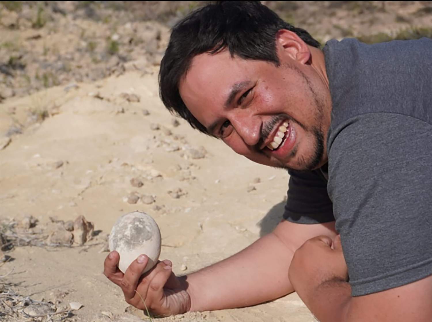 Hallan un huevo de dinosaurio casi intacto en la Patagonia argentina Hallan un huevo de dinosaurio casi intacto en la Patagonia argentina
