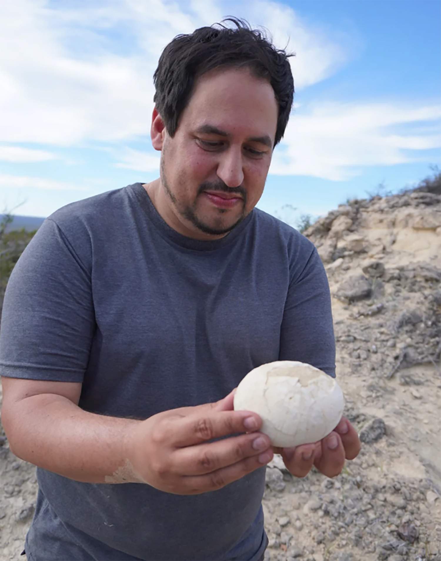 huevo de dinosaurio huevo de dinosaurio