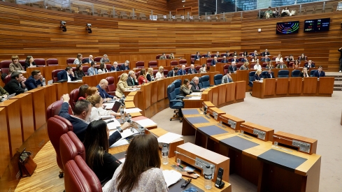 Pleno de las Cortes de Castilla y León