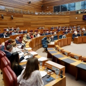 Pleno de las Cortes de Castilla y León