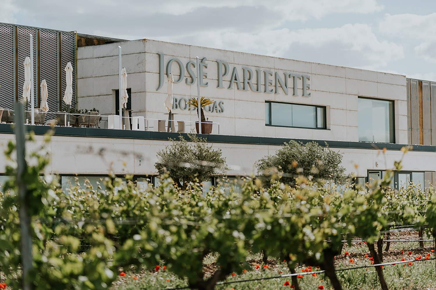 La bodega familiar vallisoletana José Pariente 