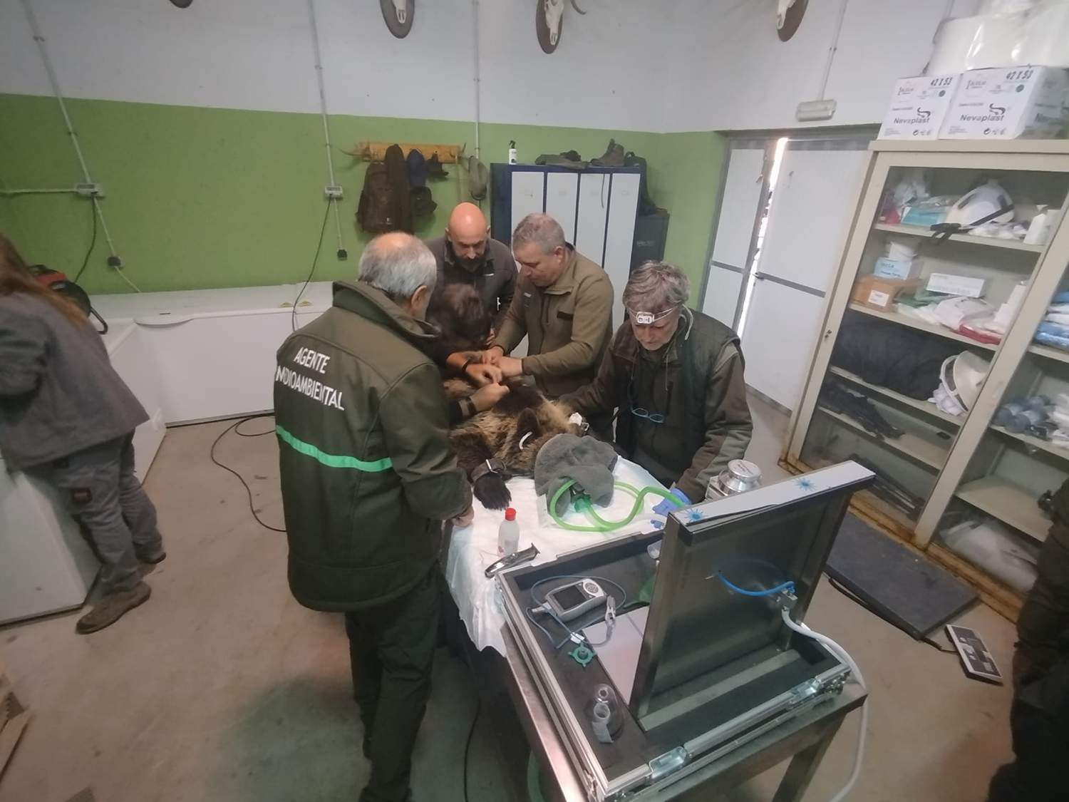 Osa Alba 2 Osa Alba 2