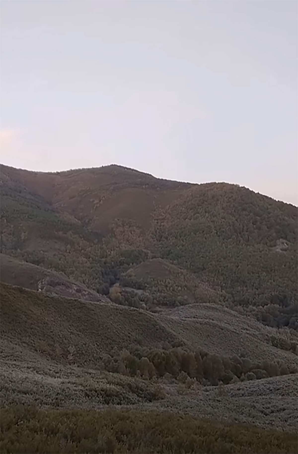 Helada en Valle de Ancares 2 Helada en Valle de Ancares 2