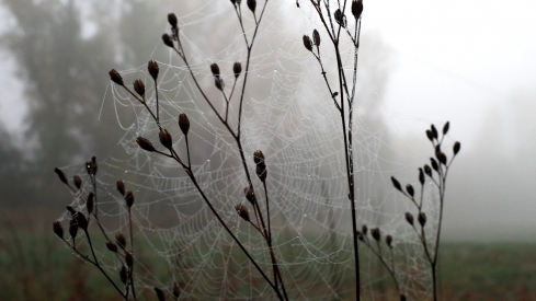 Primeras nieblas en Ponferrada (4)