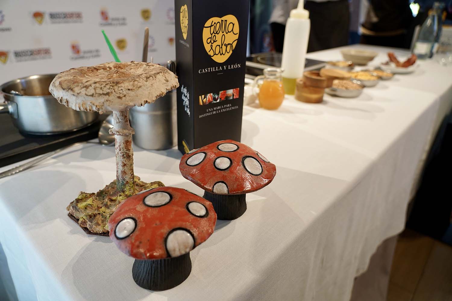 Campillo ICAL. El director general del Instituto Tecnológico Agrario de Castilla y León (Itacyl), Rafael Sáez, interviene en el acto de presentación de las XXIV Jornadas Micológicas Buscasetas. Campillo ICAL. El director general del Instituto Tecnológico Agrario de Castilla y León (Itacyl), Rafael Sáez, interviene en el acto de presentación de las XXIV Jornadas Micológicas Buscasetas.