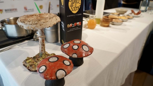 Campillo ICAL. El director general del Instituto Tecnológico Agrario de Castilla y León (Itacyl), Rafael Sáez, interviene en el acto de presentación de las XXIV Jornadas Micológicas Buscasetas.