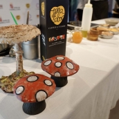 Campillo ICAL. El director general del Instituto Tecnológico Agrario de Castilla y León (Itacyl), Rafael Sáez, interviene en el acto de presentación de las XXIV Jornadas Micológicas Buscasetas.