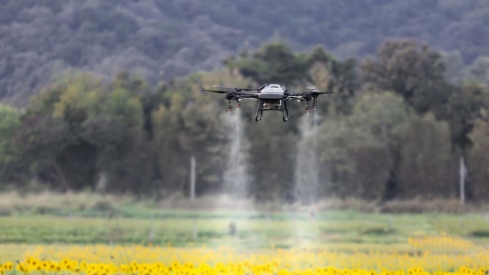 ​​​​​​​Drones y escáneres para un campo berciano 'de precisión' con el proyecto tecnológico de DIGIS3. imagen adquirida en istock | Autor: Toa55