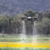 ​​​​​​​Drones y escáneres para un campo berciano 'de precisión' con el proyecto tecnológico de DIGIS3. imagen adquirida en istock | Autor: Toa55
