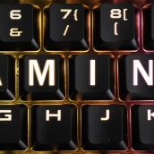 iStock 1221977008 iStock 1221977008