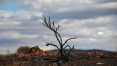 Las consecuencias de los incendios en Castrocalbón (León) | Peio García / ICAL