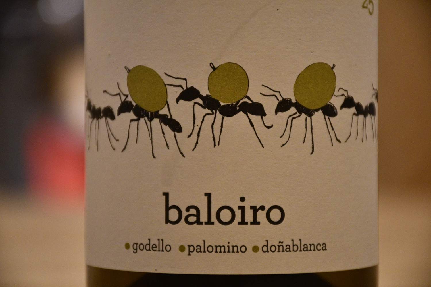 Baloiro 2025 (7) Baloiro 2025 (7)