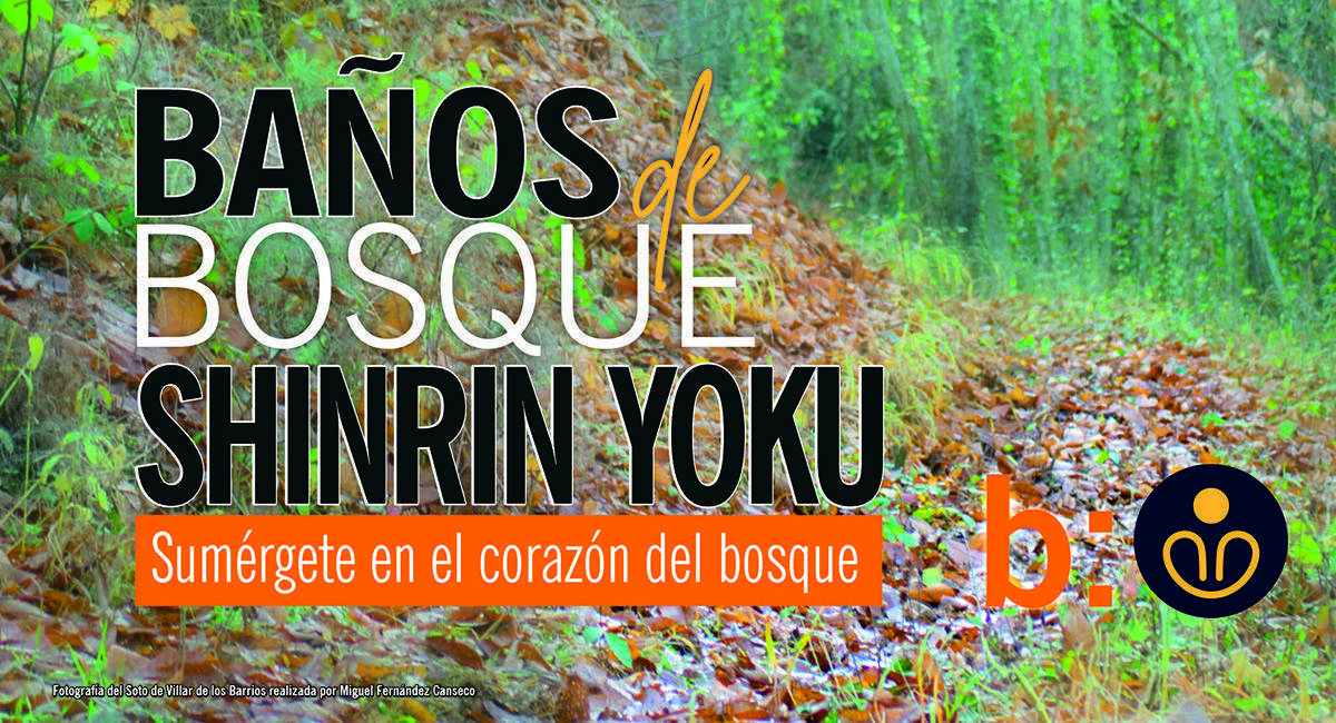 'Baños de bosque' la terapia para celebrar el Día Mundial de la Naturaleza en Ponferrada con