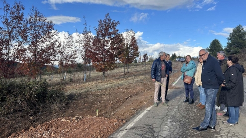 El PSOE de Ponferrada visitando las obras de La Llanada