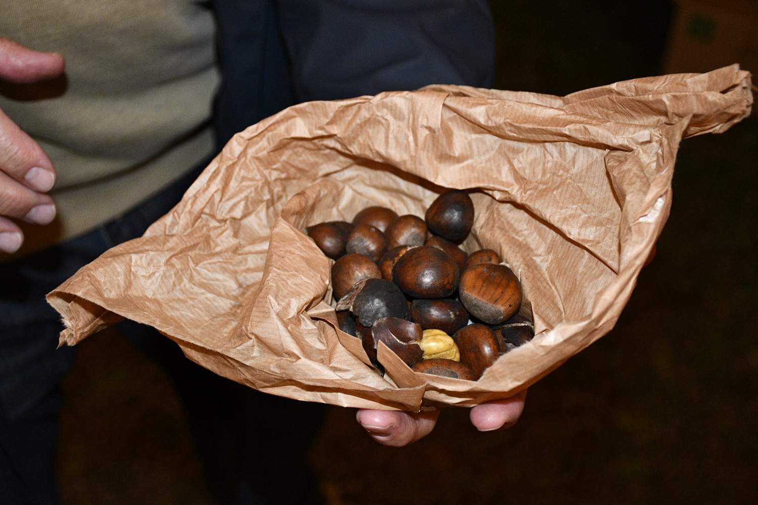 Magosto de Ponferrada 2025 (1)