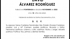 DAVID ALVAREZ RODRIGUEZ DAVID ALVAREZ RODRIGUEZ